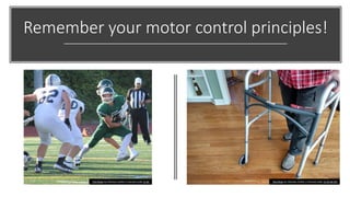 Remember your motor control principles!
This Photo by Unknown Author is licensed under CC BY This Photo by Unknown Author is licensed under CC BY-NC-ND
 