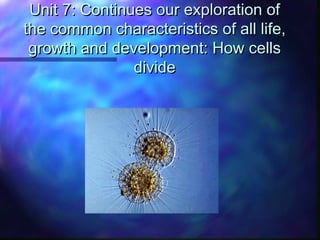 Unit 7: Continues our exploration of
the common characteristics of all life,
 growth and development: How cells
                divide
 
