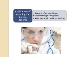 • Diagnosis of genetic disease
• Gene therapy (modify genes)
• Medicines which can be personalised
Applications of
mapping the
human
genome
 