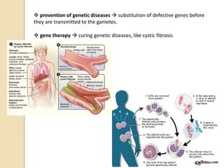  prevention of genetic diseases  substitution of defective genes before
they are transmitted to the gametes.
 gene therapy  curing genetic diseases, like cystic fibrosis
 