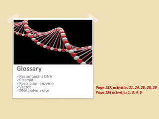 Glossary
Recombinant DNA
Plasmid
Restriction enzyme
Vector
DNA polymerase
Page 137, activities 21, 24, 25, 28, 29
Page 138 activities 1, 3, 4, 5
 