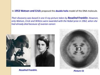 In 1953 Watson and Crick proposed the double helix model of the DNA molecule.
Their discovery was based in one X-ray picture taken by Rosalind Franklin. However,
only Watson, Crick and Wilkins were awarded with the Nobel prize in 1962, when she
had already died because of ovarian cancer.
Rosalind Franklin. Picture 51
 