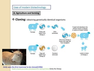 A. Agriculture and farming
 Cloning: obtaining genetically identical organisms
Dolly was the first mammal to be cloned(1996)
https://www.youtube.com/watch?v=-Qry1gYYDCA Dolly the Sheep
 