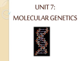UNIT7:
MOLECULARGENETICS
 