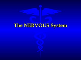The NERVOUS SystemThe NERVOUS System
 