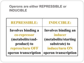 operon concept | PPTX