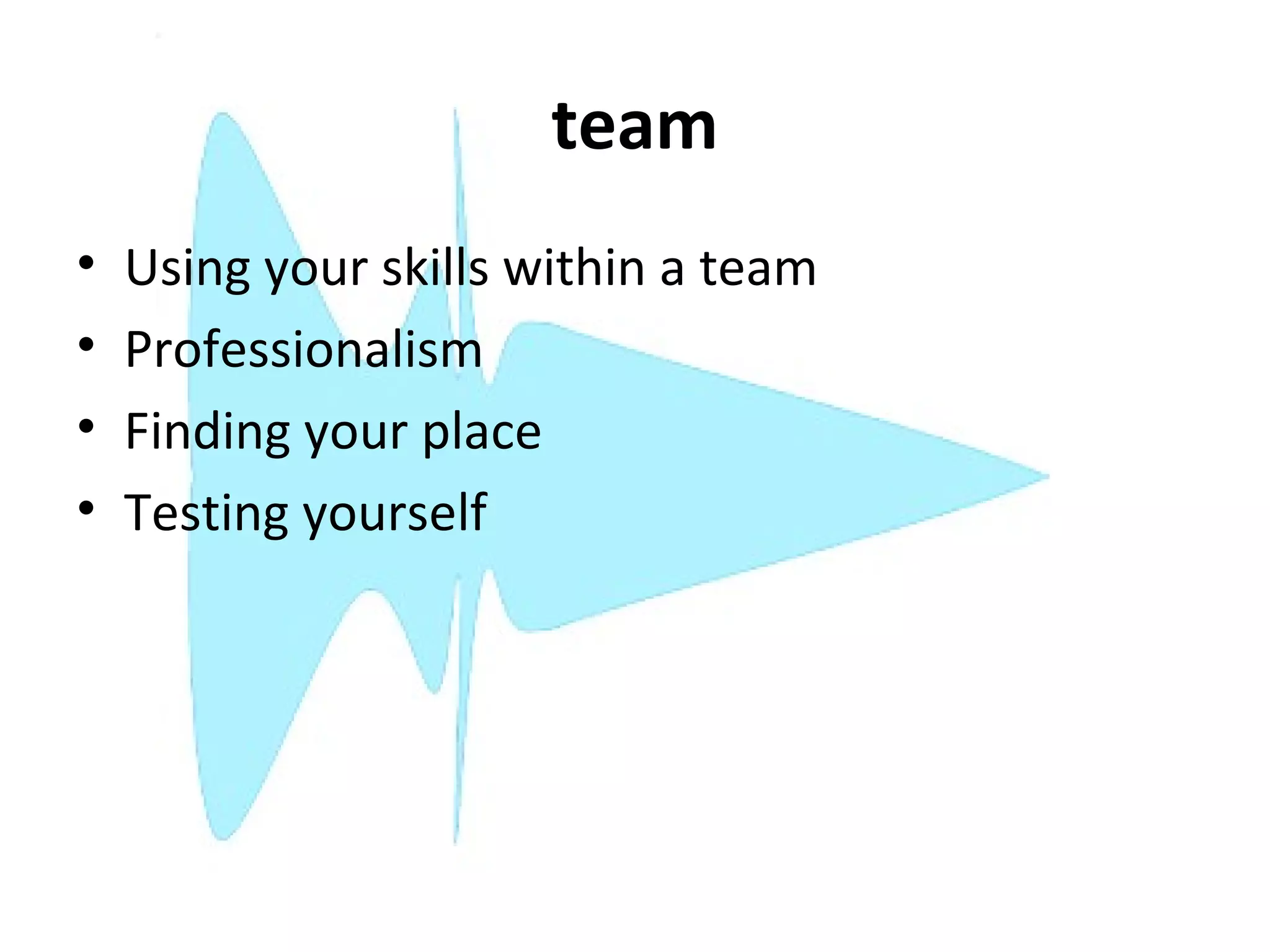 team
•   Using your skills within a team
•   Professionalism
•   Finding your place
•   Testing yourself
 
