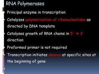 RNA Polymerases
 Principal enzyme in transcription
 Catalyzes polymerization of ribonucleotides as
directed by DNA template
 Catalyses growth of RNA chains in 5'  3'
direction
 Preformed primer is not required
 Transcription initiates denovo at specific sites at
the beginning of gene

 