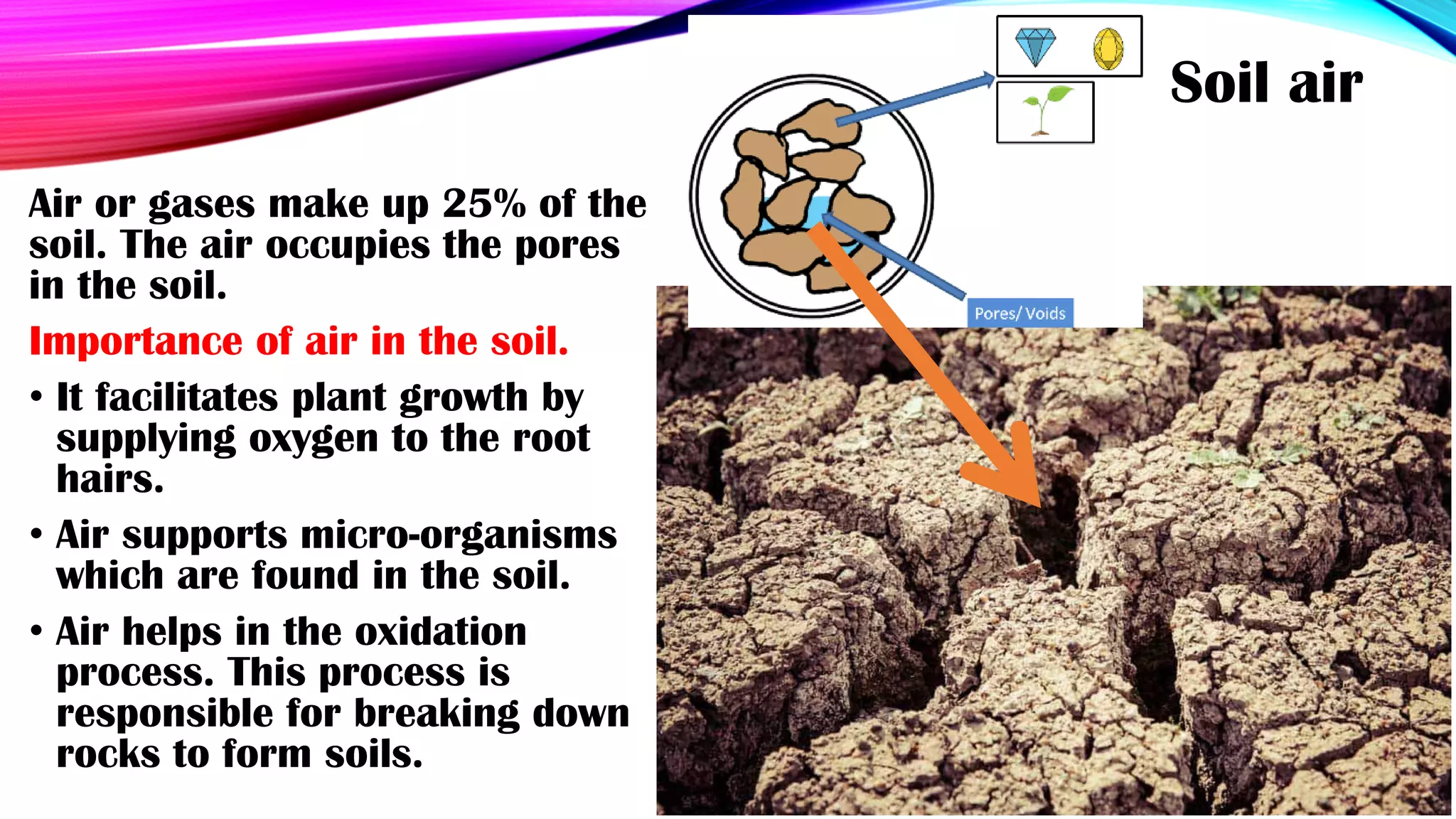 Unit 7 Soils.pdf