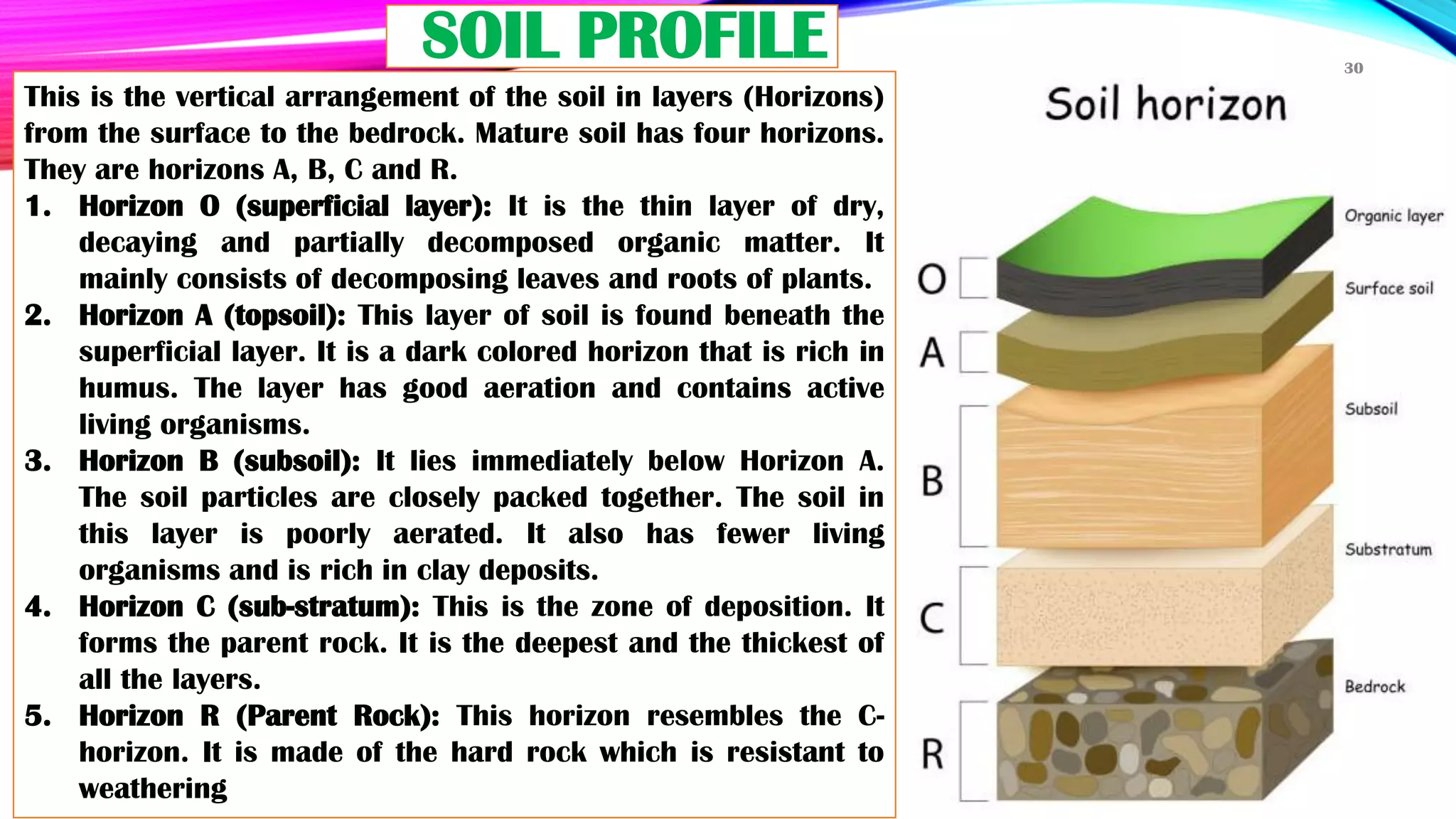 Unit 7 Soils.pdf