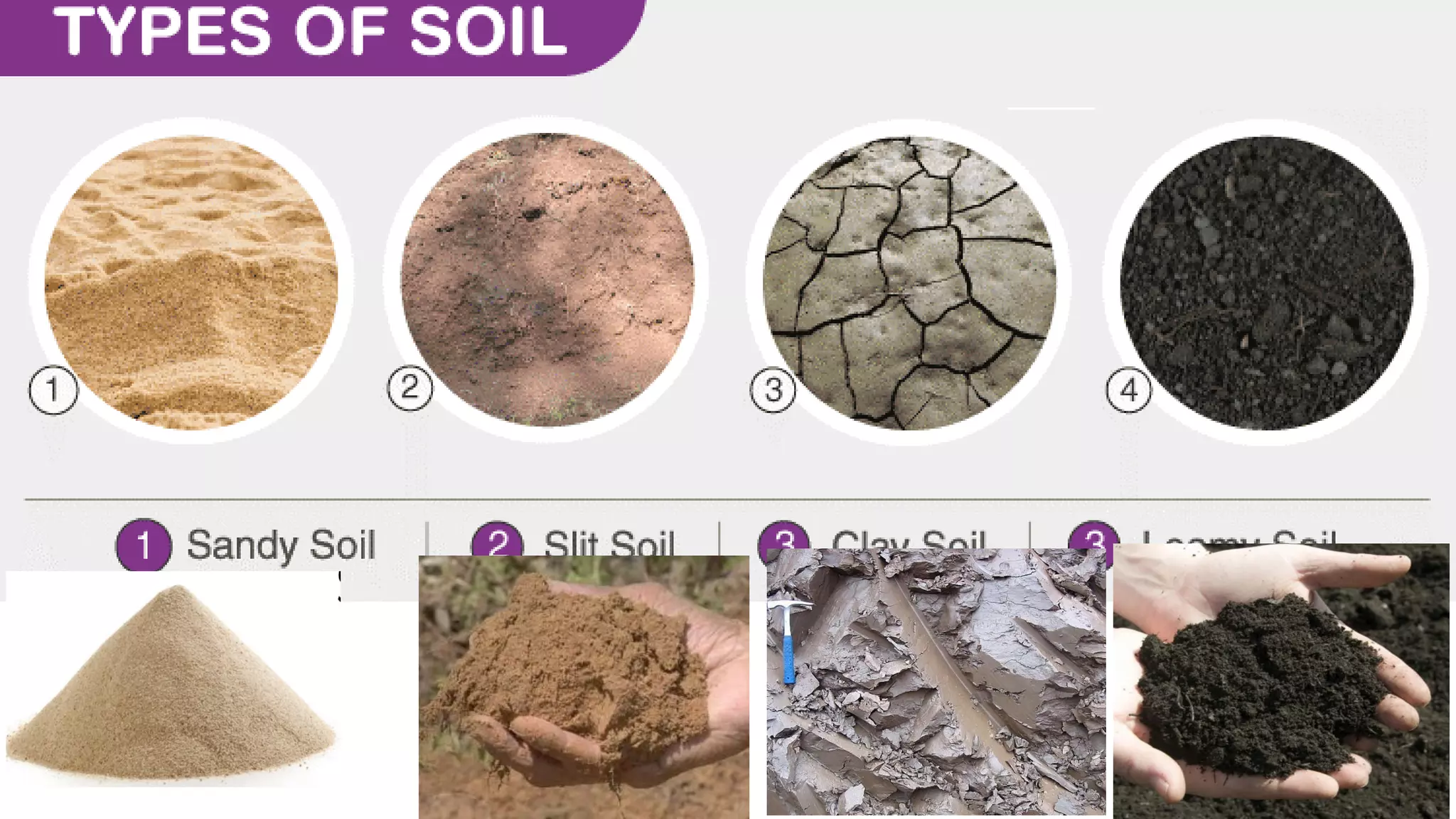 Unit 7 Soils.pdf