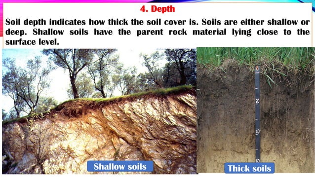 Unit 7 Soils.pdf