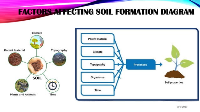 Unit 7 Soils.pdf