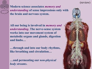 (review)
Modern science associates memory and
understanding of sense impressions only with
the brain and nervous system.


All our being is involved in memory and
understanding. The nerve-sense system
works into our movement system of
metabolic organs and glands, digestion
and limbs…

…through and into our body rhythms,
like breathing and circulation…

…and permeating our non-physical
body streams.
 