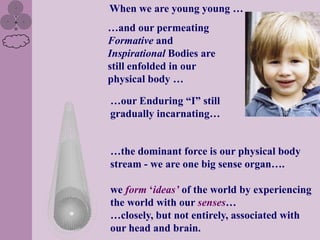 When we are young young …
…and our permeating
Formative and
Inspirational Bodies are
still enfolded in our
physical body …

…our Enduring “I” still
gradually incarnating…


…the dominant force is our physical body
stream - we are one big sense organ….

we form „ideas‟ of the world by experiencing
the world with our senses…
…closely, but not entirely, associated with
our head and brain.
 