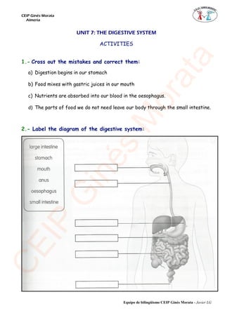 CEIP Ginés Morata
Almería
Equipo de bilingüismo CEIP Ginés Morata - Javier LG
UNIT 7: THE DIGESTIVE SYSTEM
ACTIVITIES
1.- Cross out the mistakes and correct them:
a) Digestion begins in our stomach
b) Food mixes with gastric juices in our mouth
c) Nutrients are absorbed into our blood in the oesophagus.
d) The parts of food we do not need leave our body through the small intestine.
2.- Label the diagram of the digestive system:
CEIP
G
inés
M
orata
 
