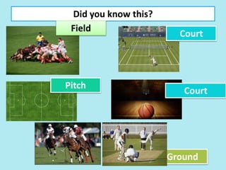 Did you know this?
Field
Pitch
Court
Ground
Court
 
