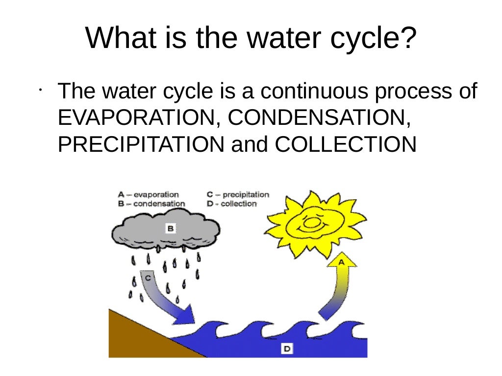 Unit 7 water and air