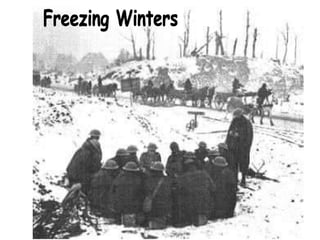 Freezing Winters 