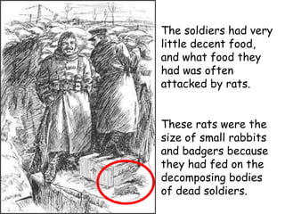 The soldiers had very little decent food, and what food they had was often attacked by rats. These rats were the size of small rabbits and badgers because they had fed on the decomposing bodies of dead soldiers. 
