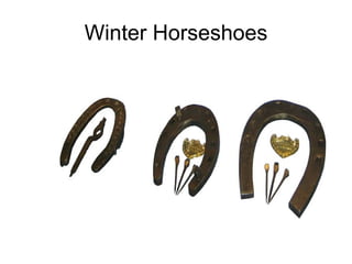 Winter Horseshoes 
