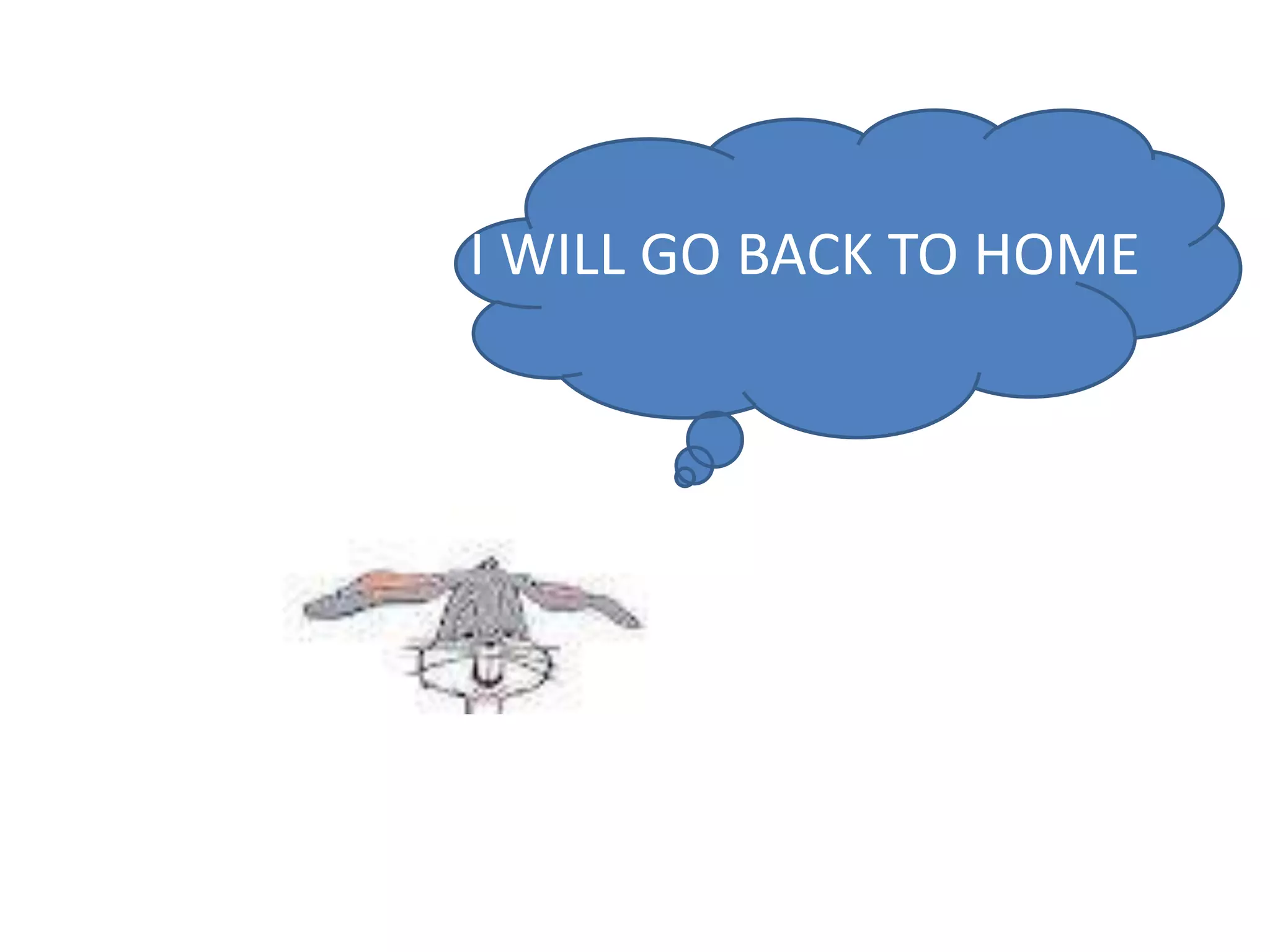 I WILL GO BACK TO HOME
 