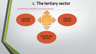 Unit 8. Tertiary Sector | PPTX