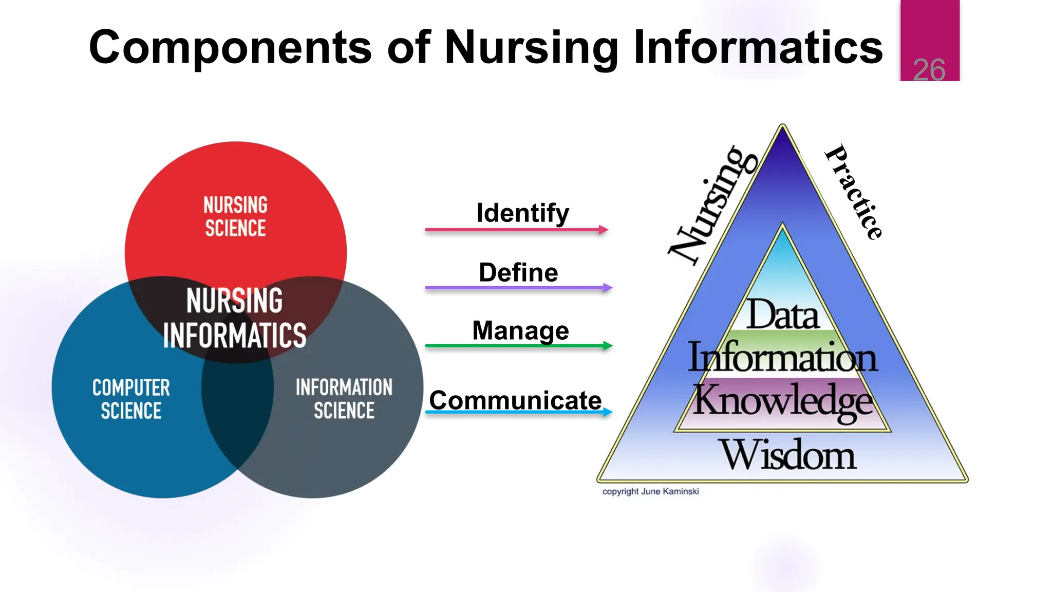 26
Components of Nursing Informatics
P
r
a
c
t
i
c
e
Identify
Define
Manage
Communicate
 