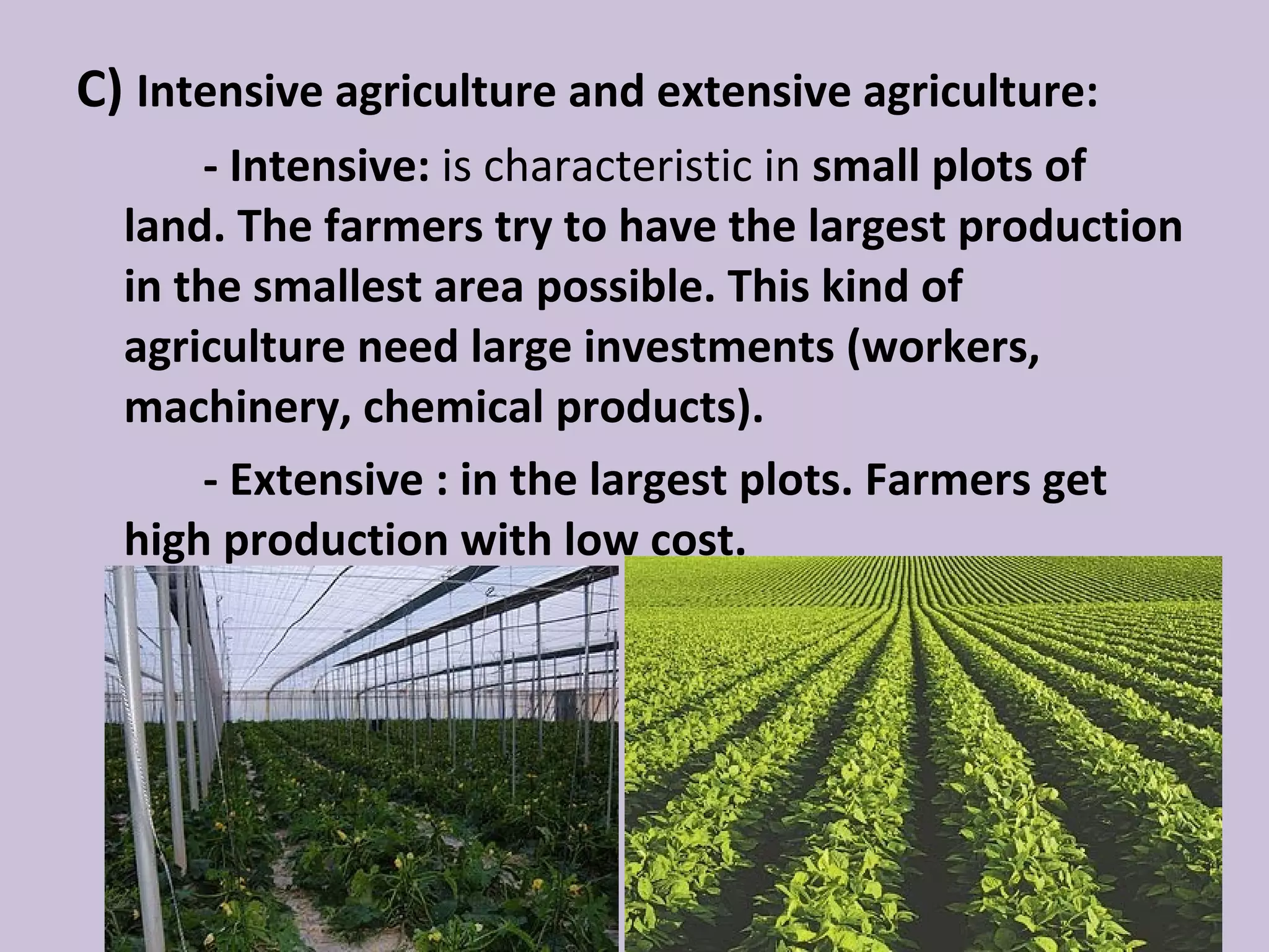 C) Intensive agriculture and extensive agriculture:
      - Intensive: is characteristic in small plots of
  land. The farmers try to have the largest production
  in the smallest area possible. This kind of
  agriculture need large investments (workers,
  machinery, chemical products).
      - Extensive : in the largest plots. Farmers get
  high production with low cost.
 