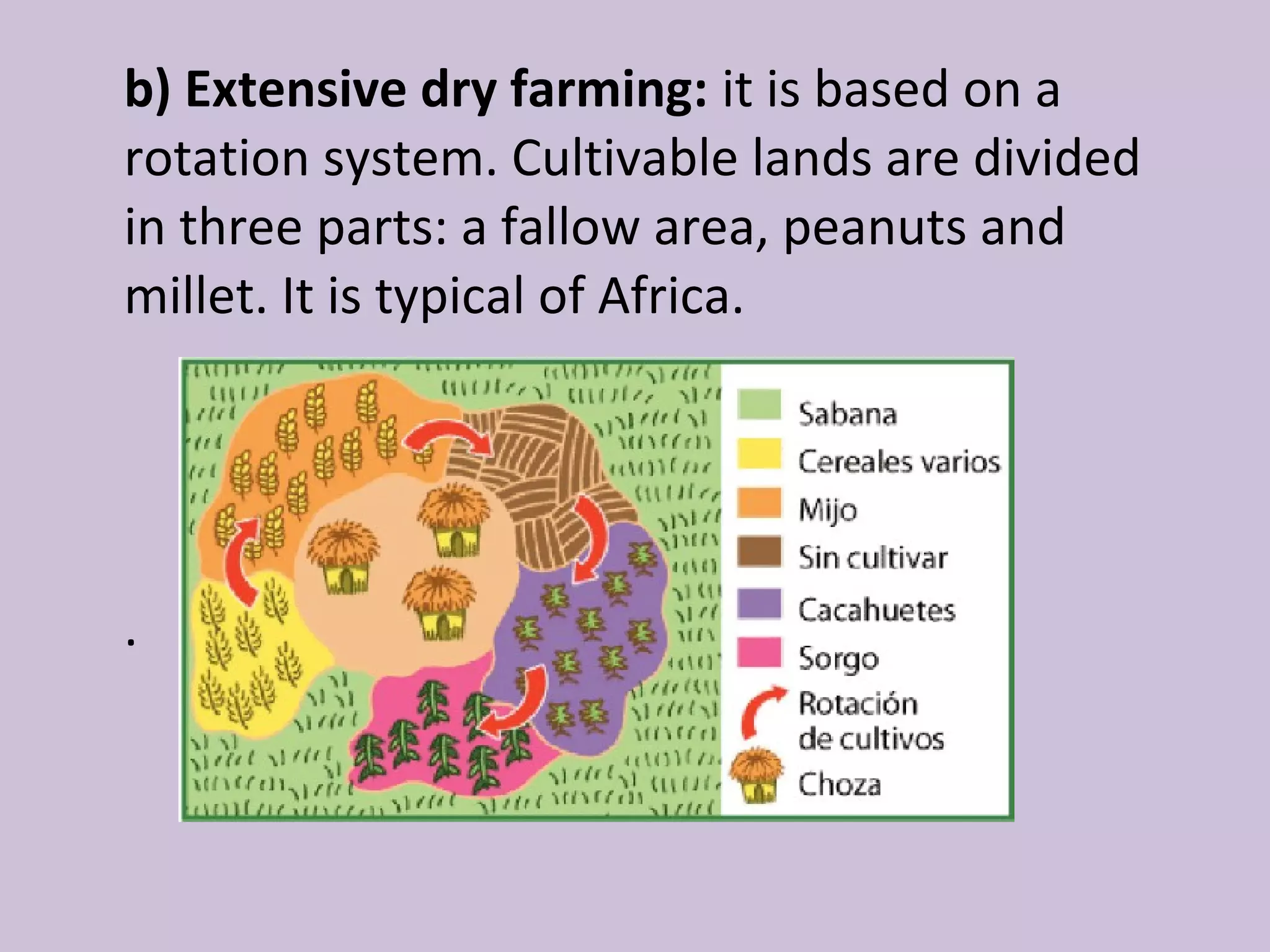 b) Extensive dry farming: it is based on a
rotation system. Cultivable lands are divided
in three parts: a fallow area, peanuts and
millet. It is typical of Africa.




.
 