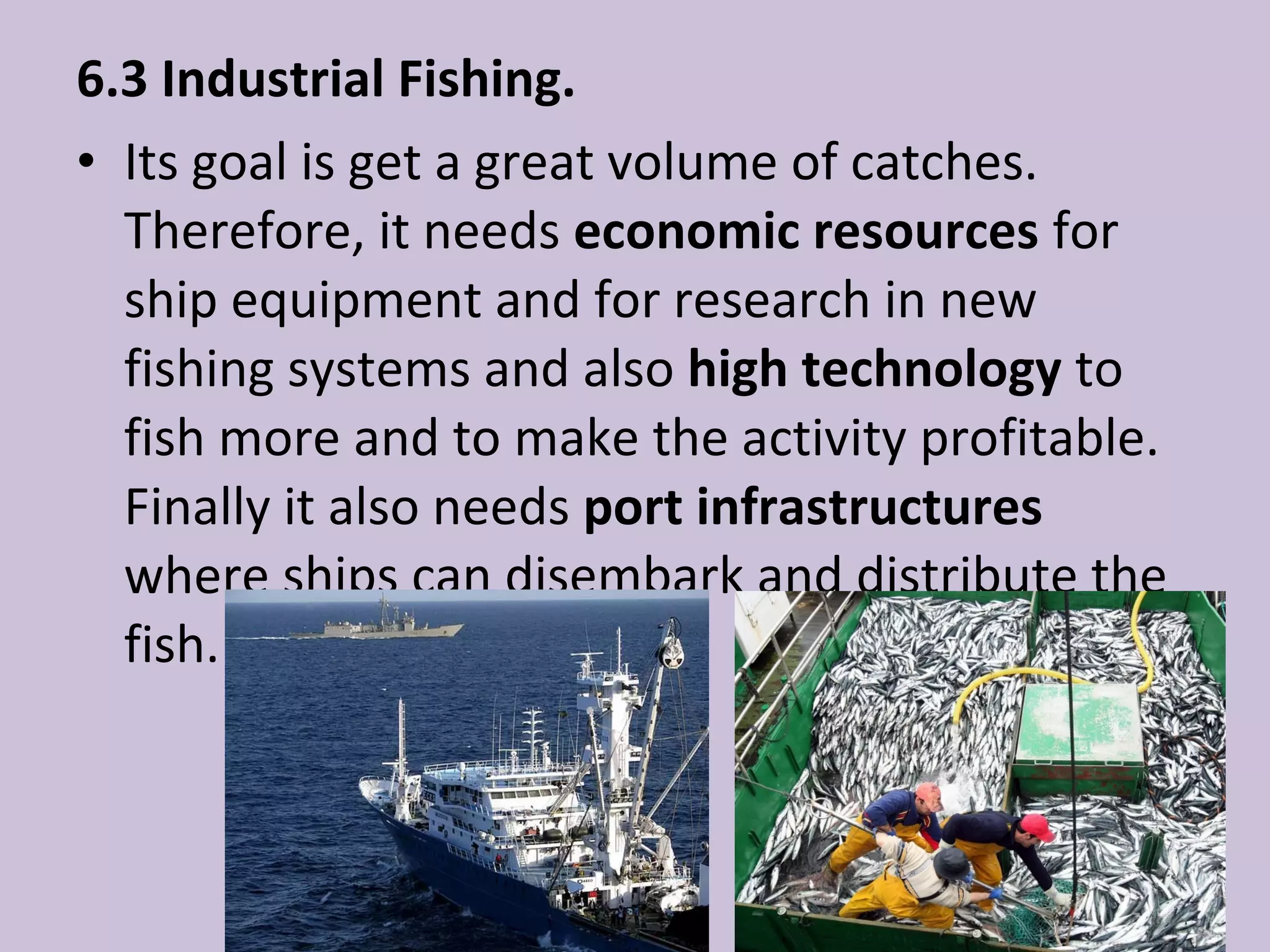 6.3 Industrial Fishing.
• Its goal is get a great volume of catches.
  Therefore, it needs economic resources for
  ship equipment and for research in new
  fishing systems and also high technology to
  fish more and to make the activity profitable.
  Finally it also needs port infrastructures
  where ships can disembark and distribute the
  fish.
 