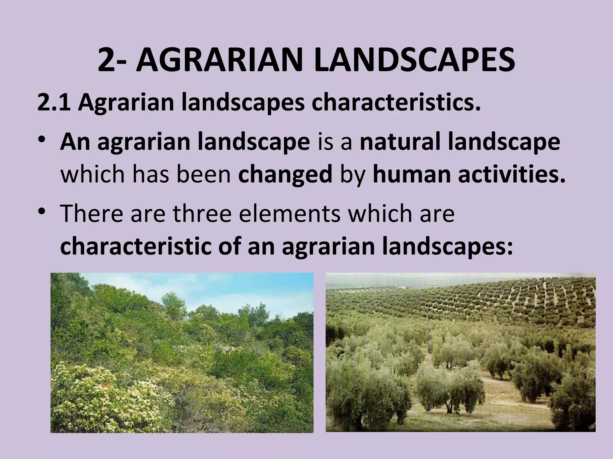 2- AGRARIAN LANDSCAPES
2.1 Agrarian landscapes characteristics.
• An agrarian landscape is a natural landscape
  which has been changed by human activities.
• There are three elements which are
  characteristic of an agrarian landscapes:
 