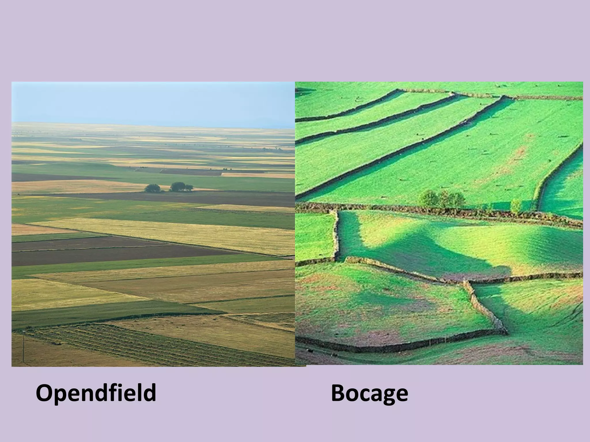 Opendfield   Bocage
 