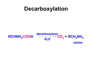 Decarboxylation
RCHNH2COOH CO2 + RCH2NH2
amine
decarboxylase
PLP
 