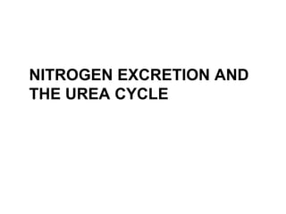 NITROGEN EXCRETION AND
THE UREA CYCLE
 