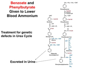 Benzoate and
Phenylbutyrate
Given to Lower
Blood Ammonium
Treatment for genetic
defects in Urea Cycle
Excreted in Urine
 