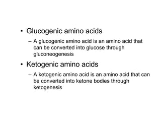 • Glucogenic amino acids
– A glucogenic amino acid is an amino acid that
can be converted into glucose through
gluconeogenesis
• Ketogenic amino acids
– A ketogenic amino acid is an amino acid that can
be converted into ketone bodies through
ketogenesis
 
