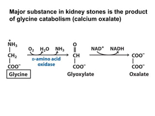 Major substance in kidney stones is the product
of glycine catabolism (calcium oxalate)
 