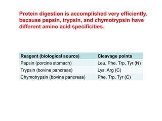 Reagent (biological source) Cleavage points
Pepsin (porcine stomach) Leu, Phe, Trp, Tyr (N)
Trypsin (bovine pancreas) Lys, Arg (C)
Chymotrypsin (bovine pancreas) Phe, Trp, Tyr (C)
Protein digestion is accomplished very efficiently,
because pepsin, trypsin, and chymotrypsin have
different amino acid specificities.
 