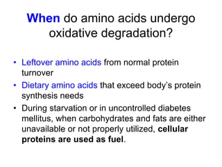 • Leftover amino acids from normal protein
turnover
• Dietary amino acids that exceed body’s protein
synthesis needs
• During starvation or in uncontrolled diabetes
mellitus, when carbohydrates and fats are either
unavailable or not properly utilized, cellular
proteins are used as fuel.
When do amino acids undergo
oxidative degradation?
 