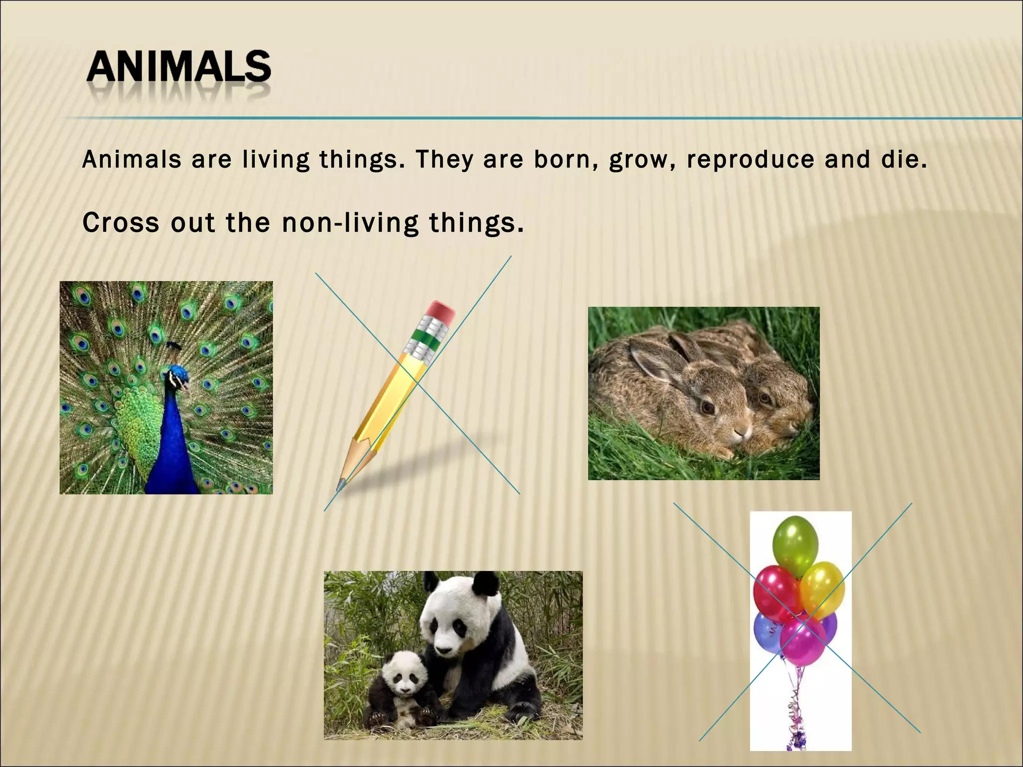 Animals are living things. They are born, grow, reproduce and die.

Cross out the non-living things.
 