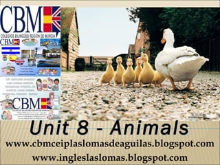 Unit 8 - Animals
www.cbmceiplaslomasdeaguilas.blogspot.com
    www.ingleslaslomas.blogspot.com
 