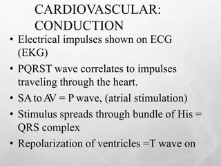 CARDIOVASCULAR:
CONDUCTION
15
• Electrical impulses shown on ECG
(EKG)
• PQRST wave correlates to impulses
traveling through the heart.
• SAtoA
V = P wave, (atrial stimulation)
• Stimulus spreads through bundle of His =
QRS complex
• Repolarization of ventricles =T wave on
 