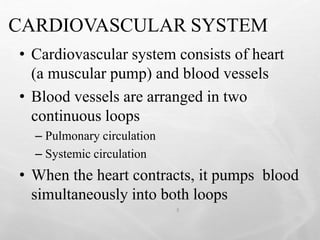 CARDIOVASCULAR SYSTEM
3
• Cardiovascular system consists of heart
(a muscular pump) and blood vessels
• Blood vessels are arranged in two
continuous loops
– Pulmonary circulation
– Systemic circulation
• When the heart contracts, it pumps blood
simultaneously into both loops
 
