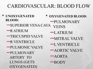CARDIOVASCULAR: BLOOD FLOW
• UNOXYGENATED
BLOOD:
–SUPERIOR VENACAVA
–RATRIUM
–TRICUSPID VALVE
–R VENTRICLE
–PULMONIC VALVE
–PULMONARY
ARTERY TO
LUNGS (GETS
OXYGENATED)
• OXYGENATED BLOOD:
–PULMONARY
VEINS
–LATRIUM
–MITRAL VALVE
–LVENTRICLE
–AORTIC VALVE
–AORTA
–BODY
7
 
