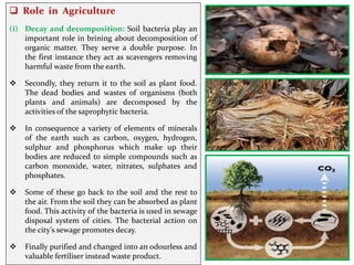 Rest Bacteria Unit –8– Economic importance of Bacteria by Dr. Kirtika Padalia ...