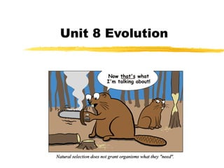 Unit 8 Evolution
 