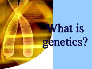 What is genetics? 