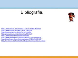 Bibliografia.
https://www.youtube.com/channel/UC6Je3-ZV_x38NqQAxKiCCyQ
https://www.youtube.com/watch?v=bZ_VL4dx3D4
https://www.youtube.com/watch?v=fNVpGqt2Bzs
https://www.youtube.com/watch?v=UayH1NmlzA4
https://www.facebook.com/tastemade/videos
https://www.facebook.com/tastemade/videos/970622743024893/
https://www.facebook.com/tastemade/videos/970620406358460/
http://travel.india.com/articles/10-endangered-animals-india-see-vanish/
 