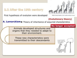 Animals developed structures and
organs that they needed to adapt to
their environment.
These new characteristics were
transmitted to their descendants
First hypothesis of evolution were developed:
A. Lamarckism
(Evolutionary theory)
 Theory of inheritance of acquired characteristics
No longer accepted
 